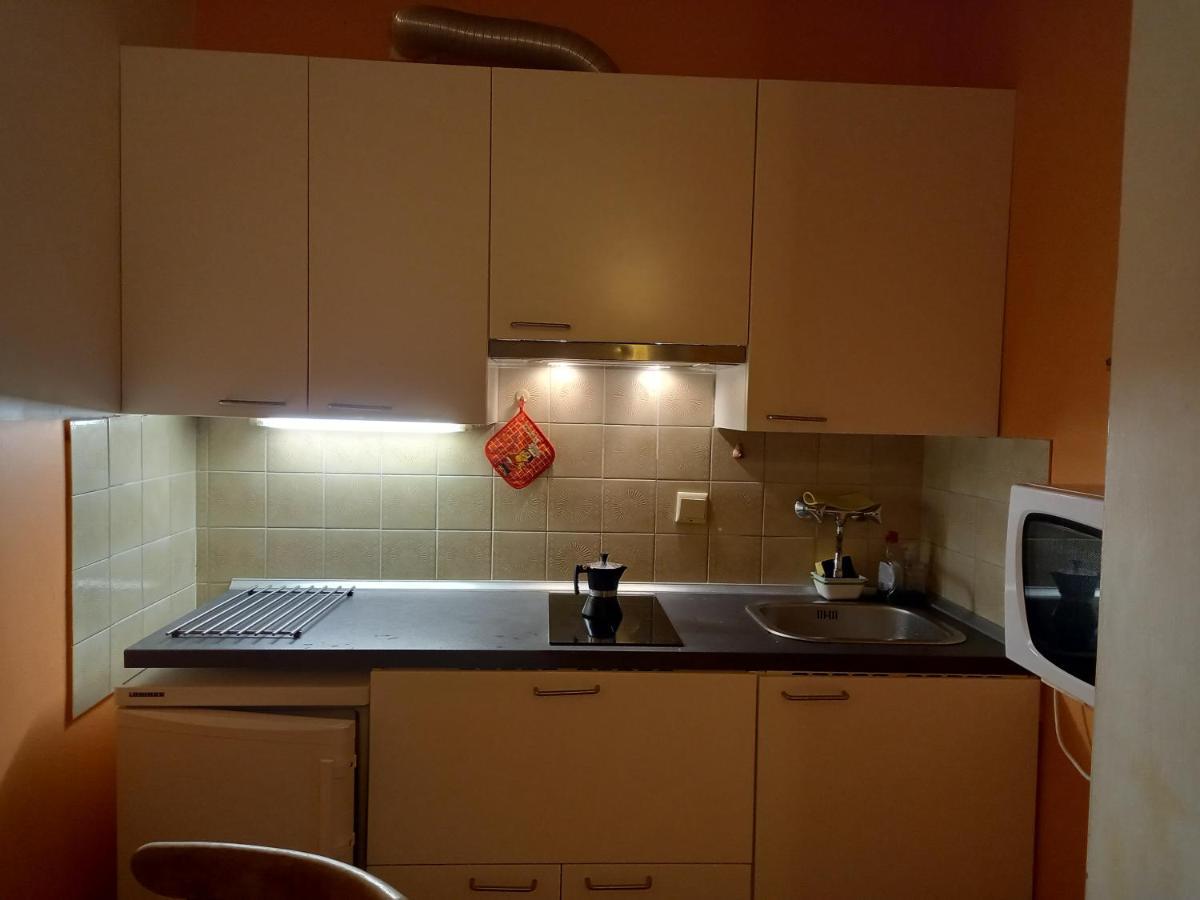 Panoramis Apartment In Schladming Exteriér fotografie